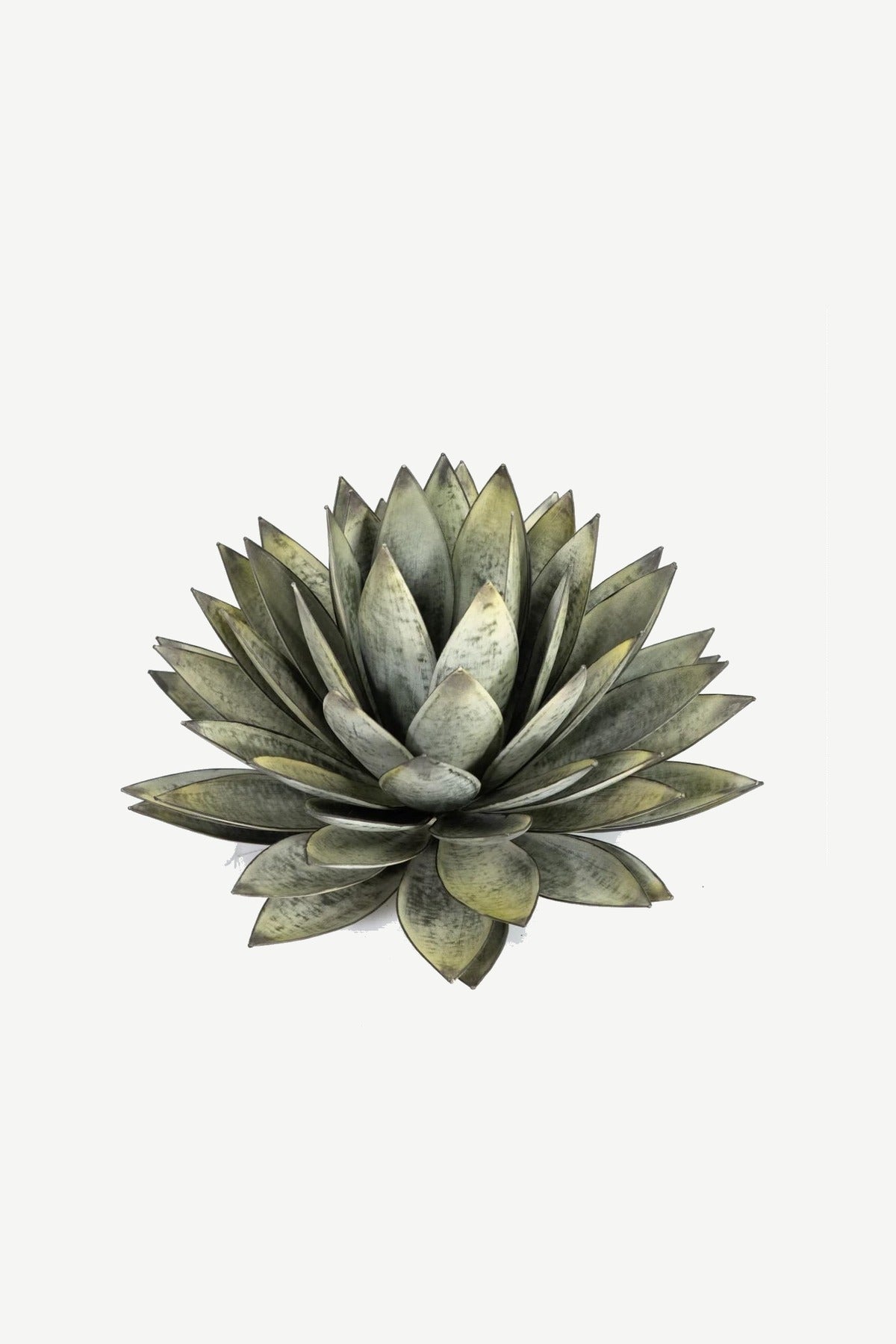 ALOÉ hand-forged iron sculpture by Orenzo – layered aloe rosette form with detailed leaf structure
