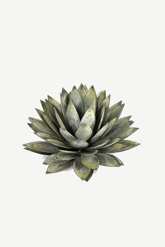 ALOÉ hand-forged iron sculpture by Orenzo – layered aloe rosette form with detailed leaf structure